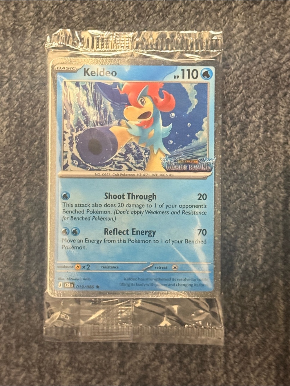 NEW! Pokemon Chaos Rising Promo Sealed: Keldeo